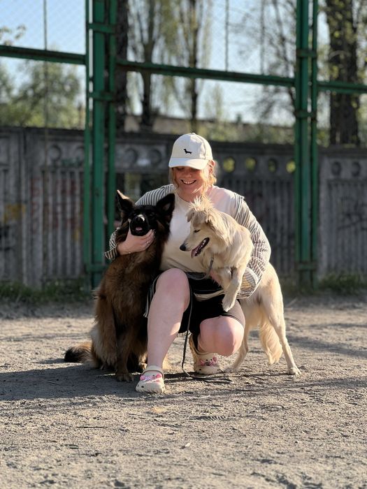 Кінолог Школа для собак Хендлер Кинолог