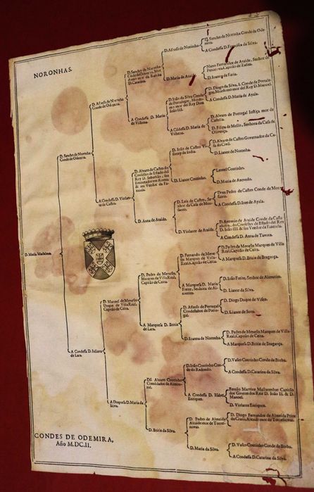 NORONHA S Condes de ODEMIRA árvore de costados 1602 rara