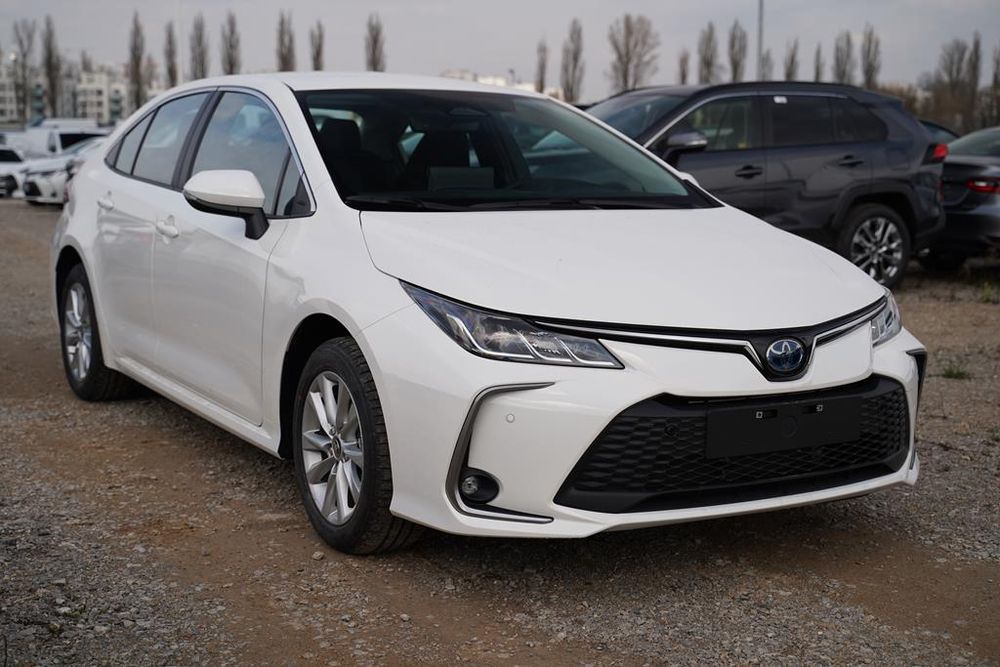 Zdjecie w galerii numer 2