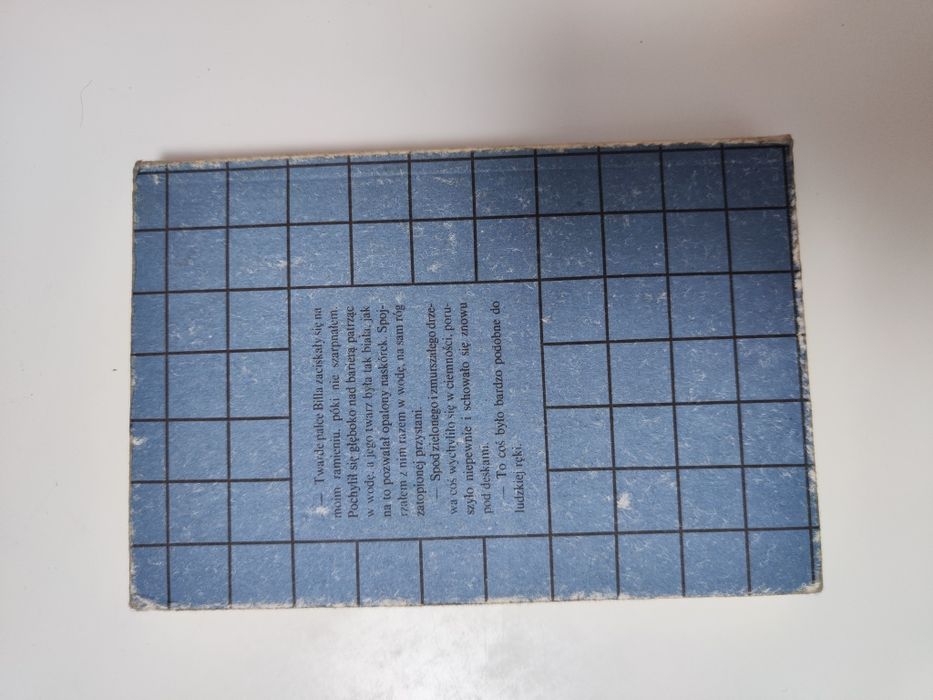 Tajemnica jeziora - Raymond Chandler "