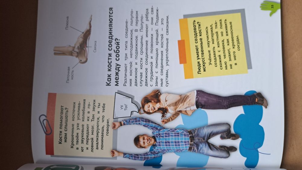 Путеводитель по телу человека/Вопросы и ответы