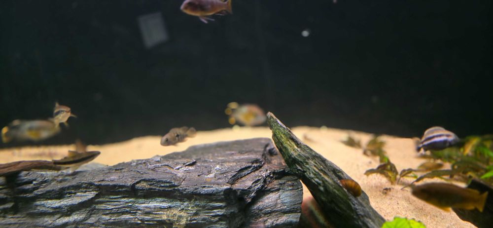 Akwarium 200x70x60cm