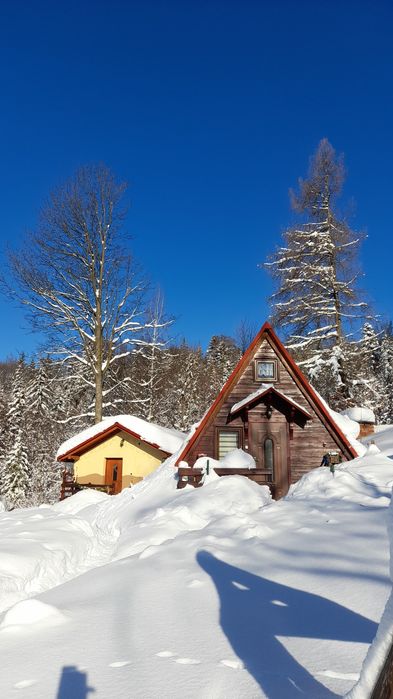 Domki do wynajęcia w  górach.