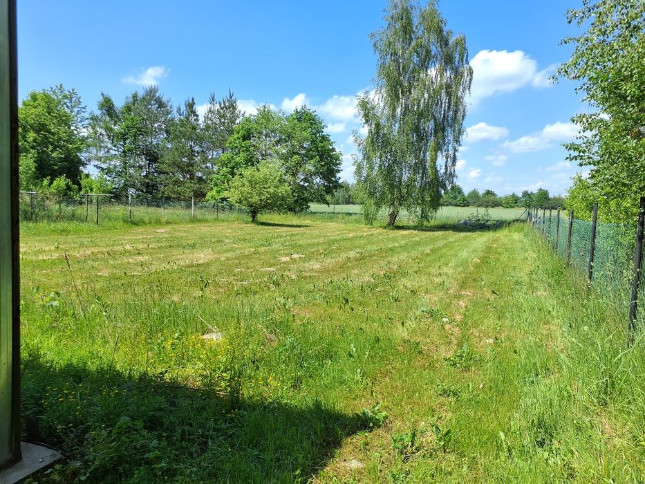 Działka  2000 m²  100m x 20m  bez domku  Wiata Garaż prąd  woda szambo , Gruszczyn 27-300 Lipsko - Widok 4