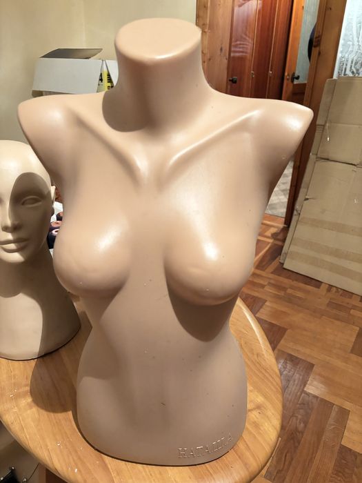 манекен    торс.