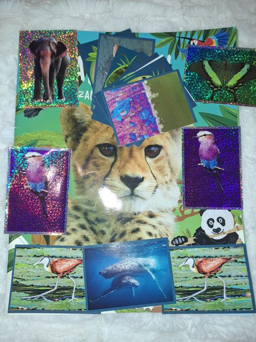 Cromos Mundo Animal