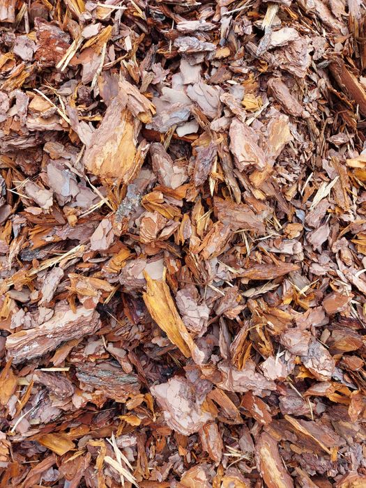 Kora sosnowa ogrodowa LUZEM !!! Transport wywrotką