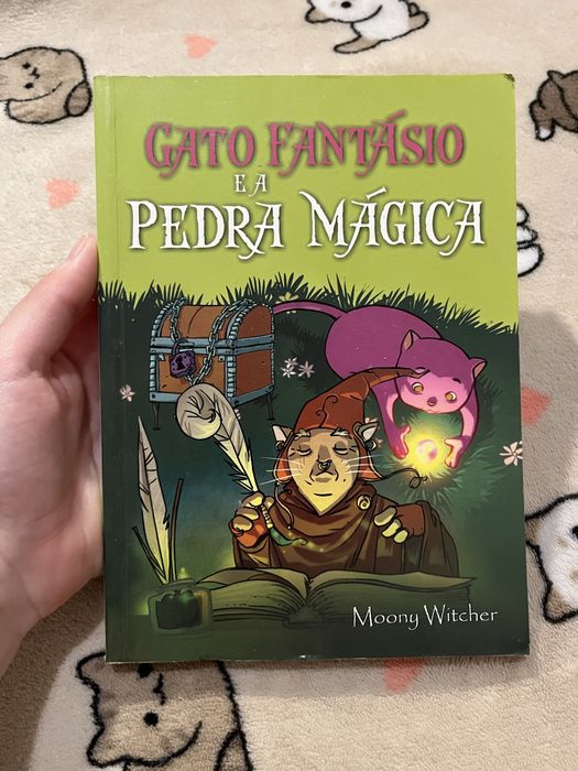 Gato fantástico e a pedra mágica