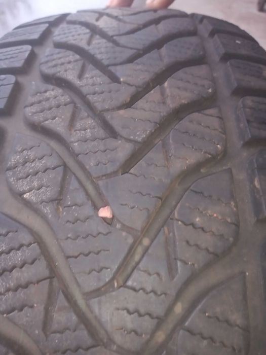 Opony Lassa Competus Winter 2 Zimowe 225/70R16