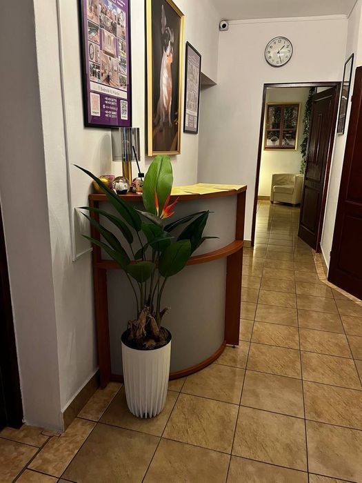 250 zł za tydzień pobytu Nowy Hostel Warszawa -Хостел есть места