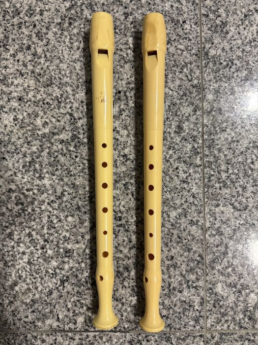 Flauta de bisel Hohner 950864284676990337121