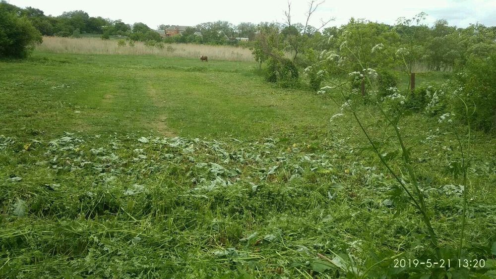 Приватизована ділянка 20 соток