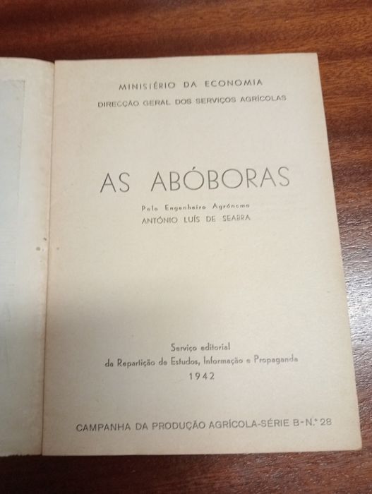 Cultura do alho, melão, batata, abóbora e pepino