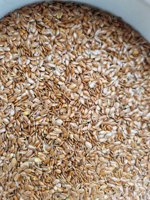 Продам льон коричневый