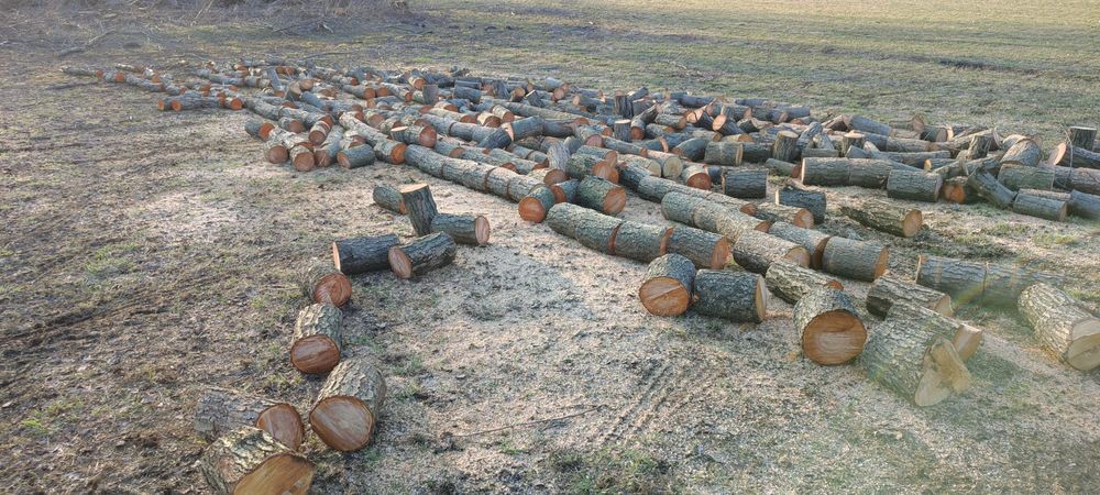 Drewno opałowe olcha 300zł/metr