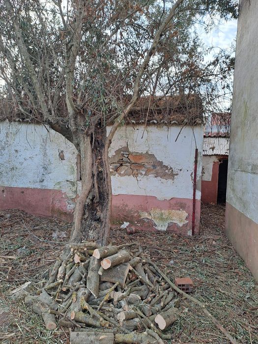 Moradia T3 com projeto aprovado