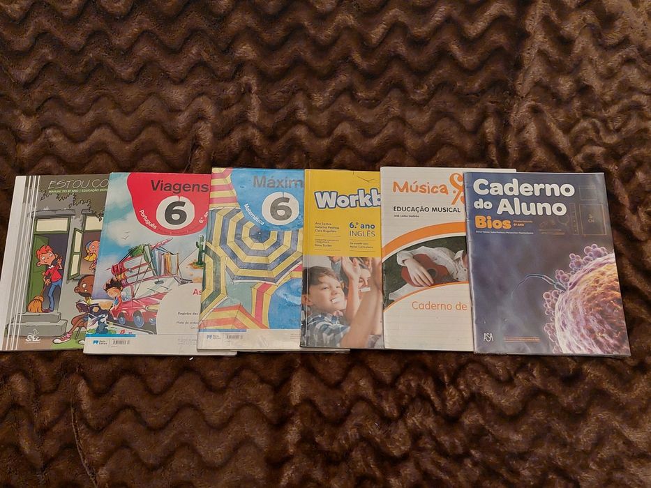 Cadernos de atividades do 5,6,7,8,9,10 ano (usados)