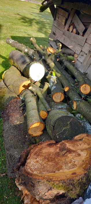 Pień świerkowy 280 cm i drewno z czereśni.