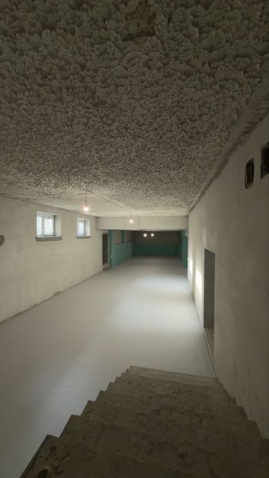 Оренда 250 м² в Центрі