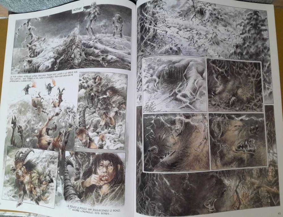 Diversos álbuns de capa dura.