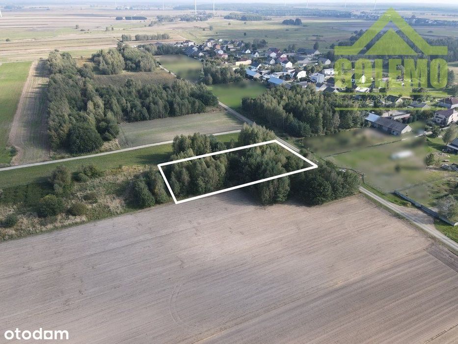 Działka / 1300m2 / Budowlano-Usługowa / Wiercica