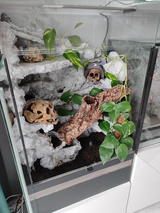Terrarium  tropikalne z wodospadem, gekon, agama