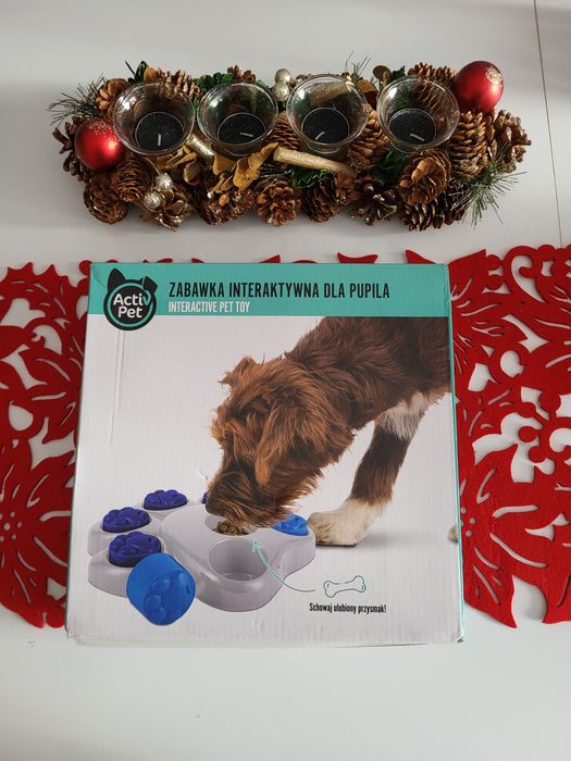 Zabawka interaktywna dla psa Activ Pet