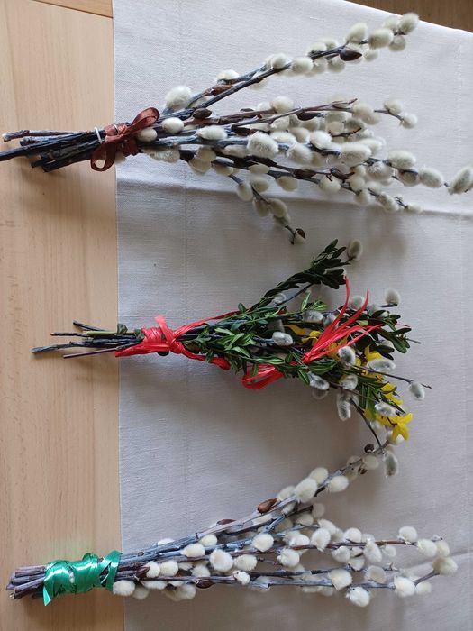 Bazie, kotki, bukiety suszone, Zestaw 3 szt bukietów naturalnych bazi