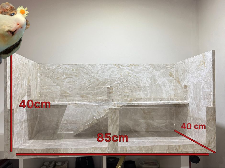 Gaiola para porquinhos de india 85x40x40