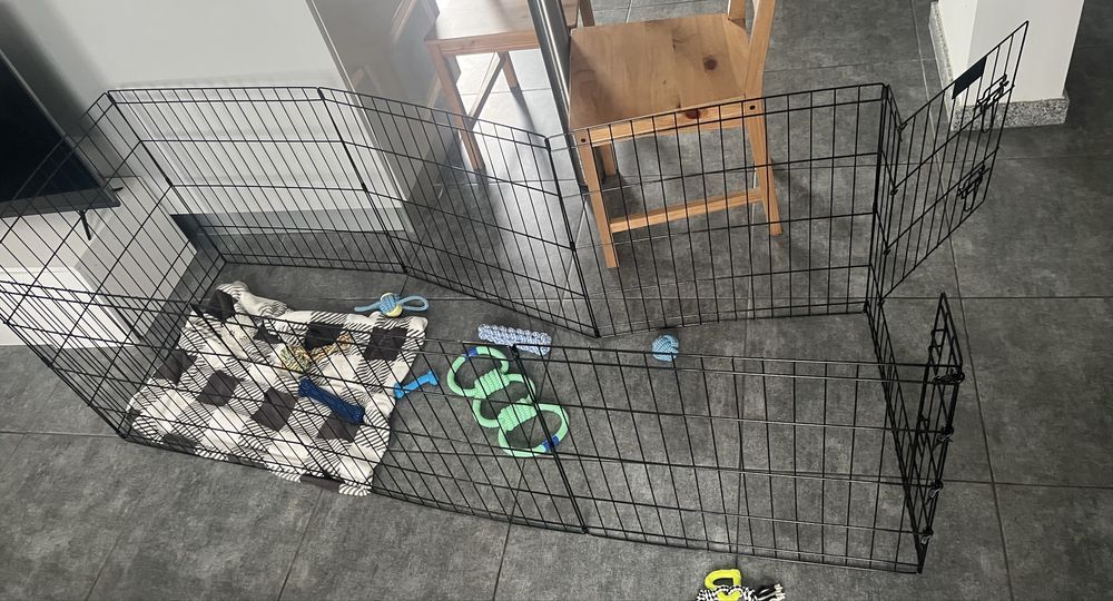 Parque para cão/cachorro