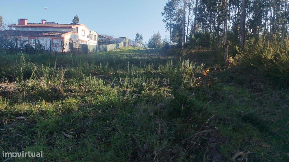 Terreno urbanizável em Requeixo, Aveiro