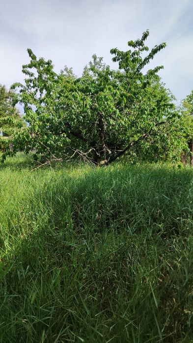 Продається участок в центрі Солоного(обл. Дніпропетровська).