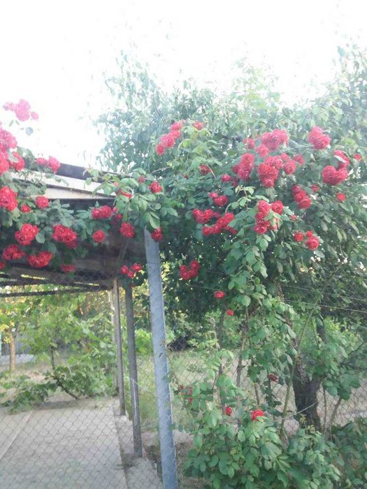 Продам дом в Одессе Сухой Лиман 25900т торг Срочно