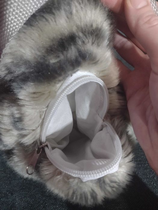 Кіт - рюкзак та кенгуру