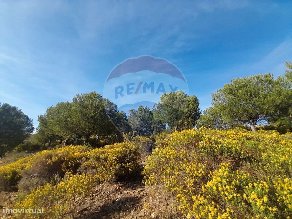 Terreno  para venda — Azinhal, Faro