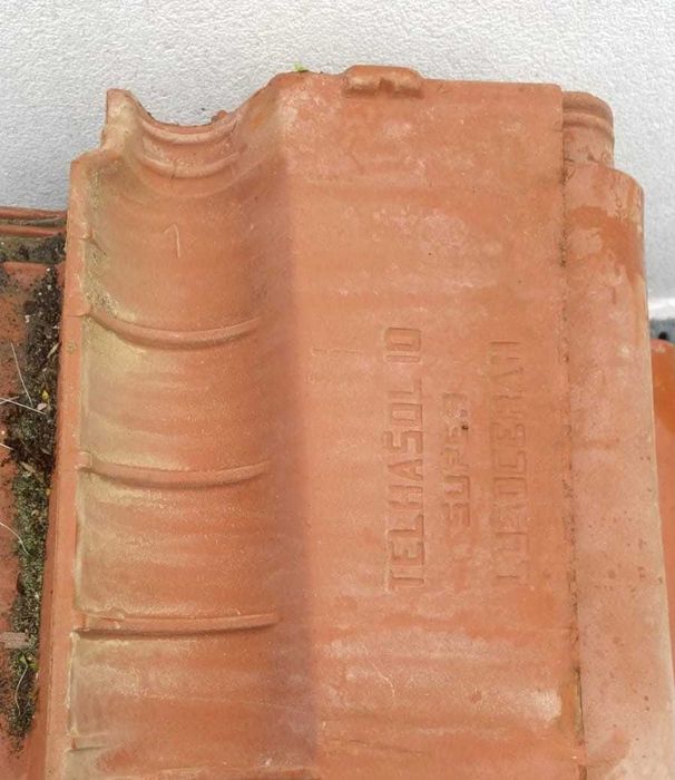 Telhas Mortágua, campos, sol 10 super, Margon estrela d`alva