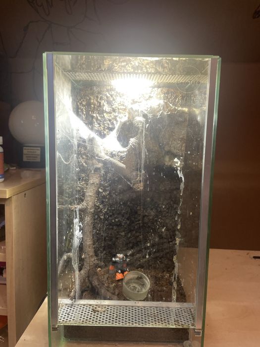 2 teriumum + Caribena i Mono B