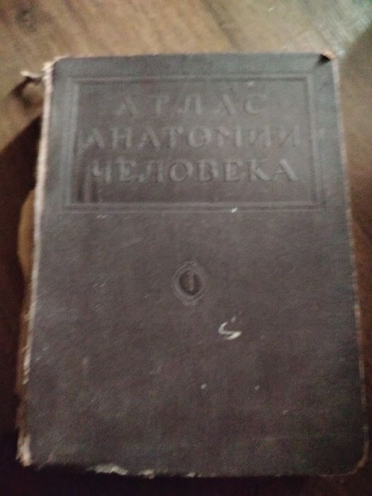 Атлас анатомии человека.