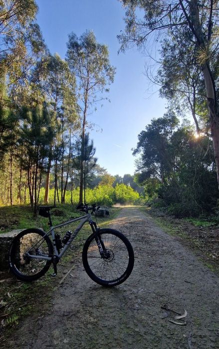 Canyon Grand Canyon 8