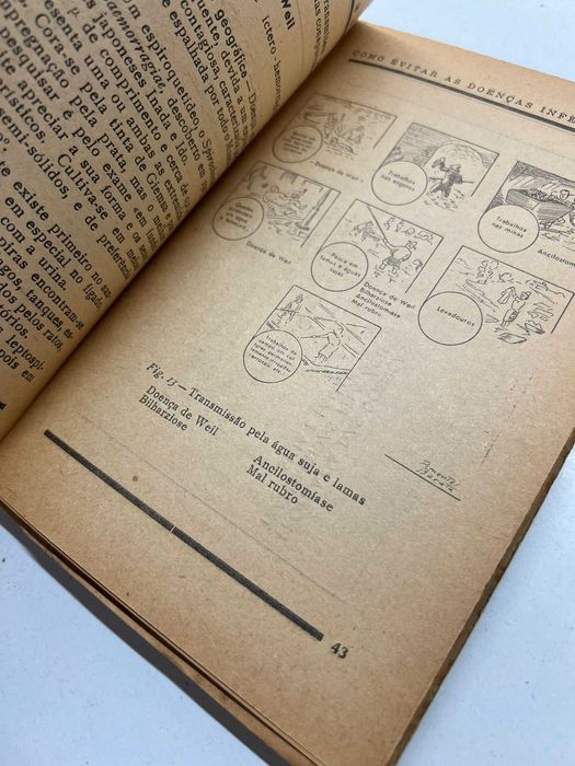 Livro - Como Evitar as Doenças Infecciosas (ctt editorial grátis)