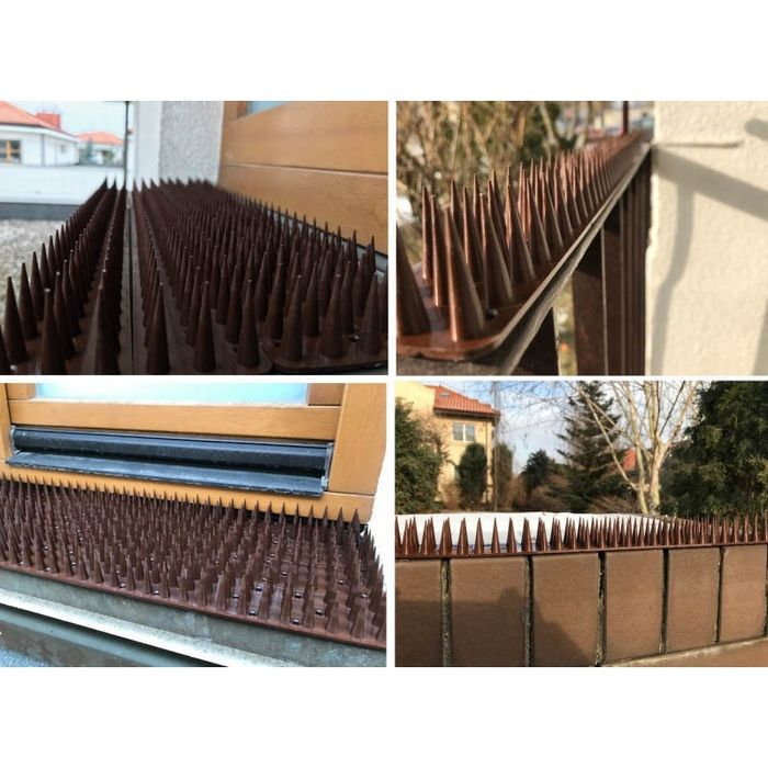 Шипи від птахів і тварин 0.5 м (висота 3 см)