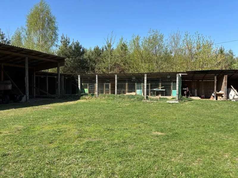 Мисливський будинок 218 м², на ділянці 0.5 га у лісі (Звягельський р-н). Готовий бізнес