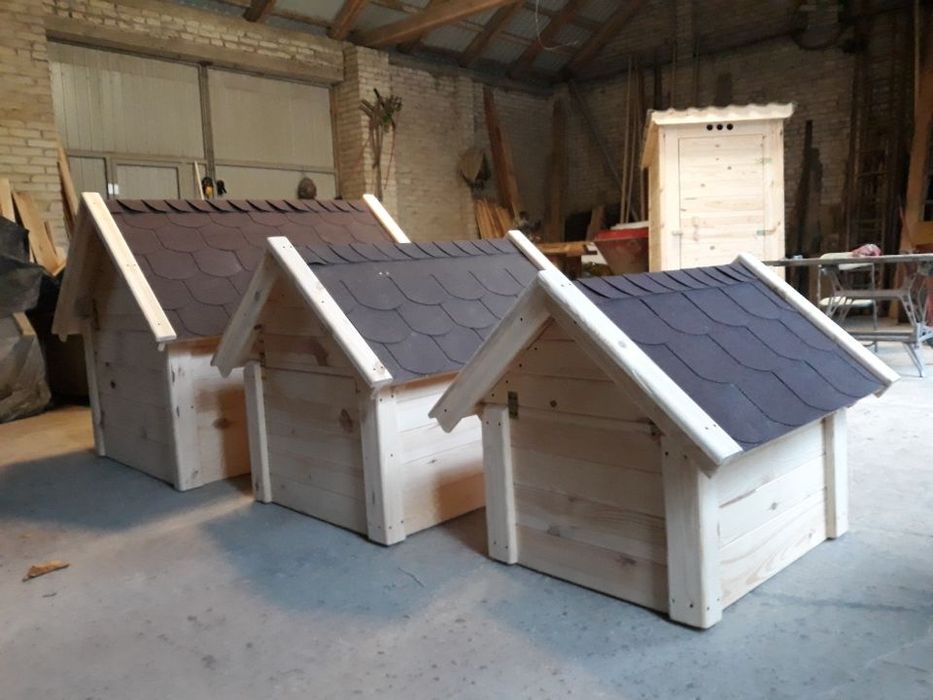 Budy dla Psa w różnych rozmiarach