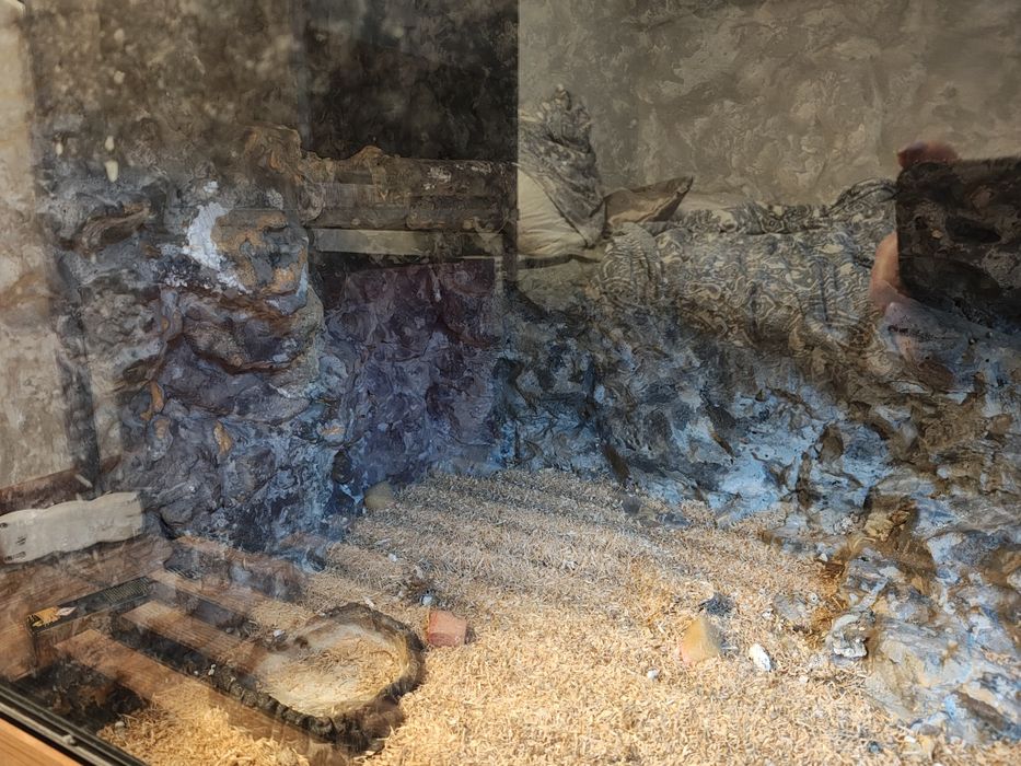 Duże, solidne terrarium