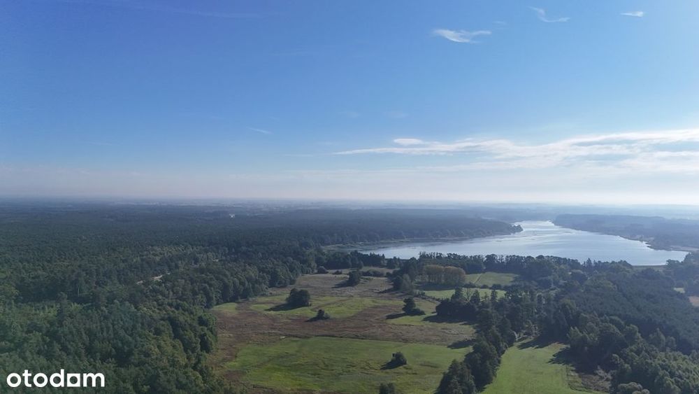 Działka z wydanymi warunkami z prywatnym lasem - Widok 5