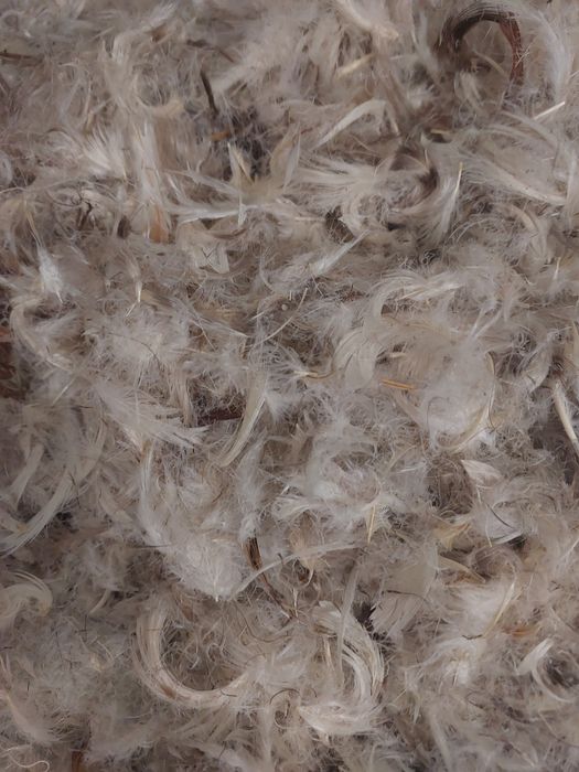 Пух перо гусиное на вес