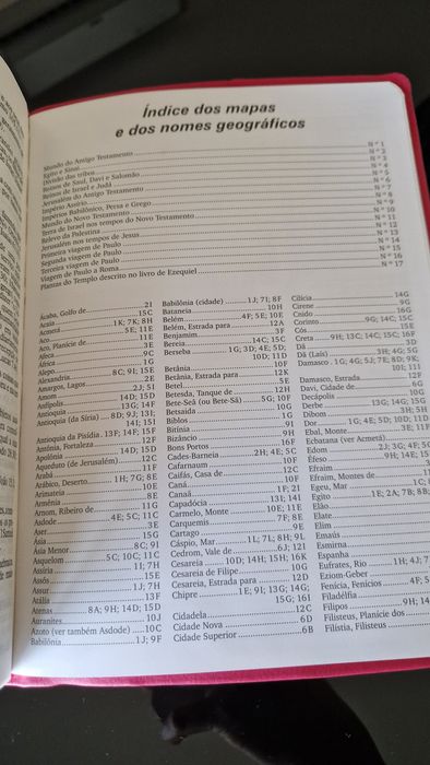 Bíblia Sagrada Letra Extra gigante NTLH | Capa Luxo Pink