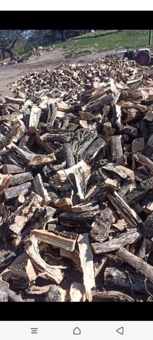Vende se carvão de azinho, lenha de azinho e lenha de sobro