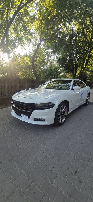 Auto do ślubu. Zawiozę do ślubu Dodge Charger v8