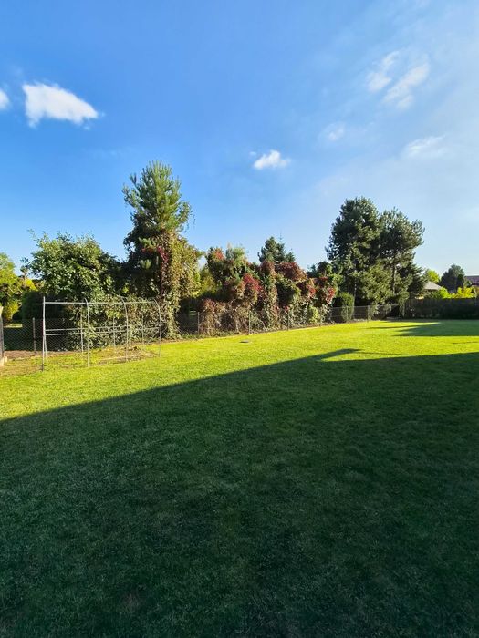 Przytulny dom na przedmieściach Rzeszowa - 139m2, piękny ogród, duży taras, wiata, - bardzo zadbany!